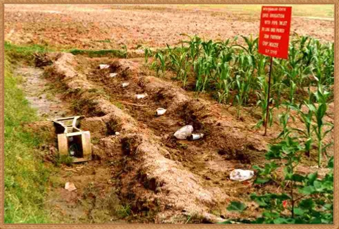 Surge Irrigation